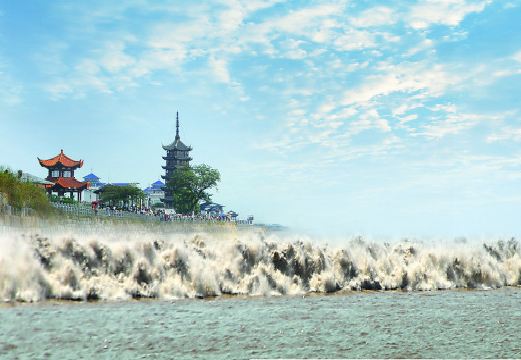 如何有效投訴火車相關問題